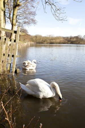 Hardwick Hall 25 sm.jpg